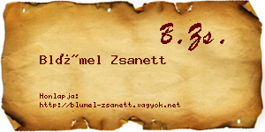 Blümel Zsanett névjegykártya