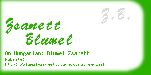 zsanett blumel business card
